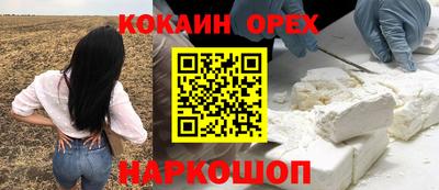сатива Кулебаки